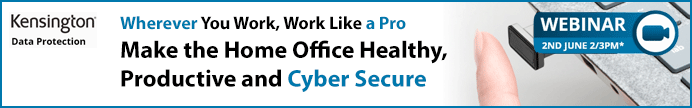 Webinar 3 - Working like a pro: How can remote employees protect data from home?